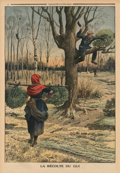 Het snijden van de maretak, achteromslagillustratie uit 